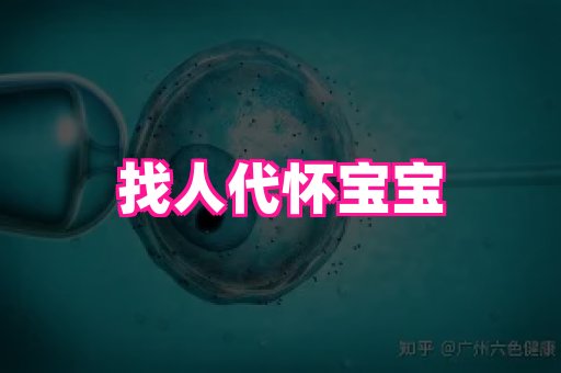 nub孕网 2